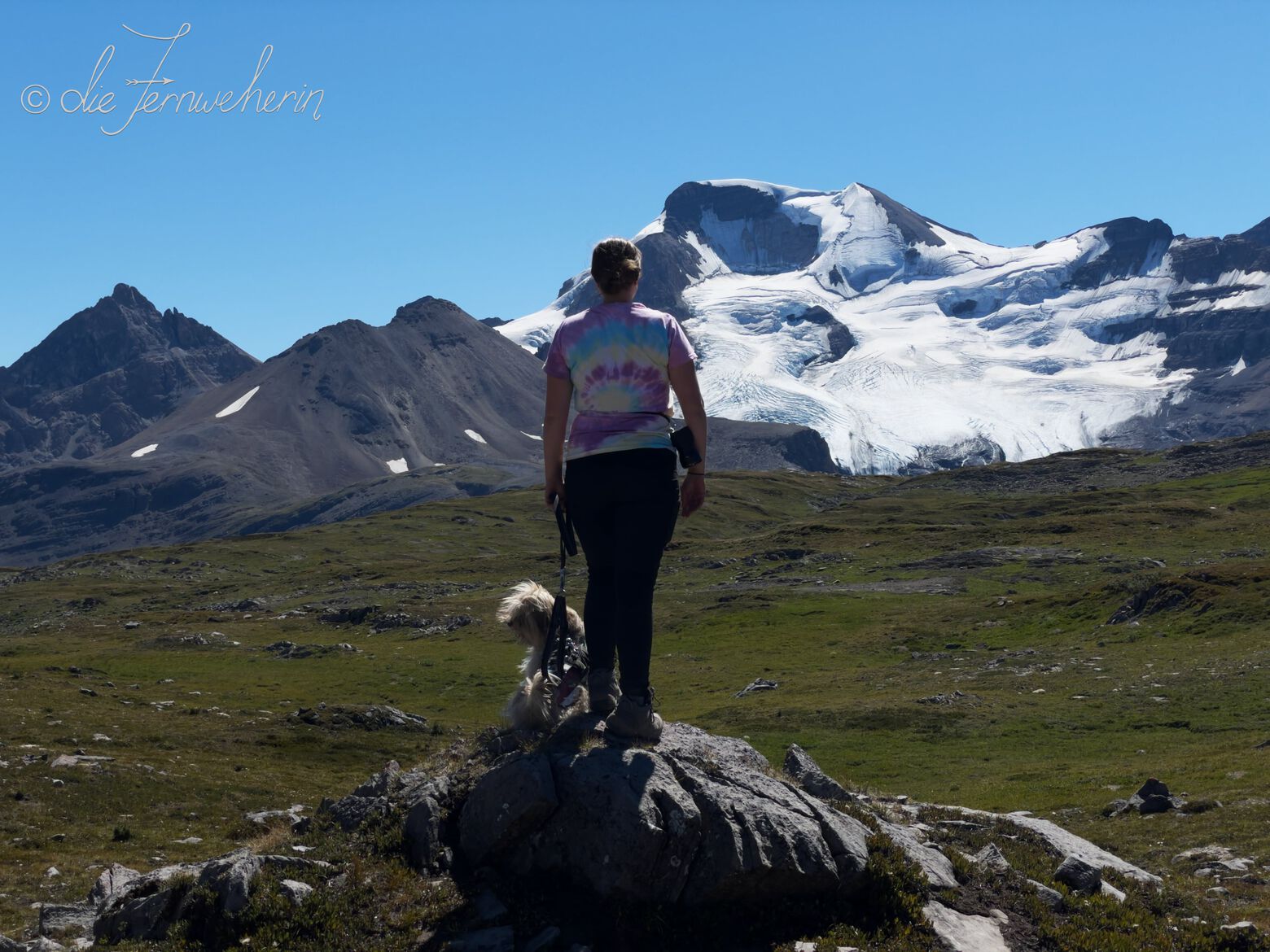 A woman & a dog stand on a rock looking at the Athabasca Glacier in Jasper National Park.