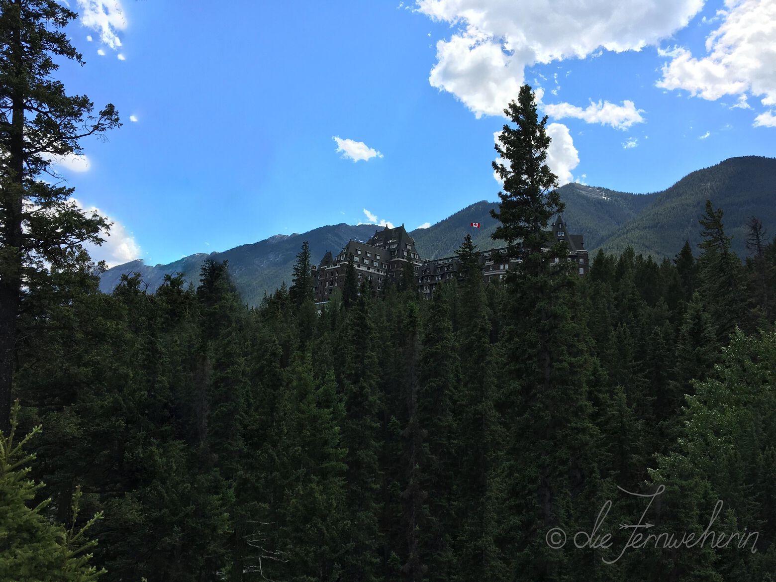 The Banff Springs Hotel as seen from the Bow Falls Trail, surrounded by conifers with Sulphur Mountain in the background.