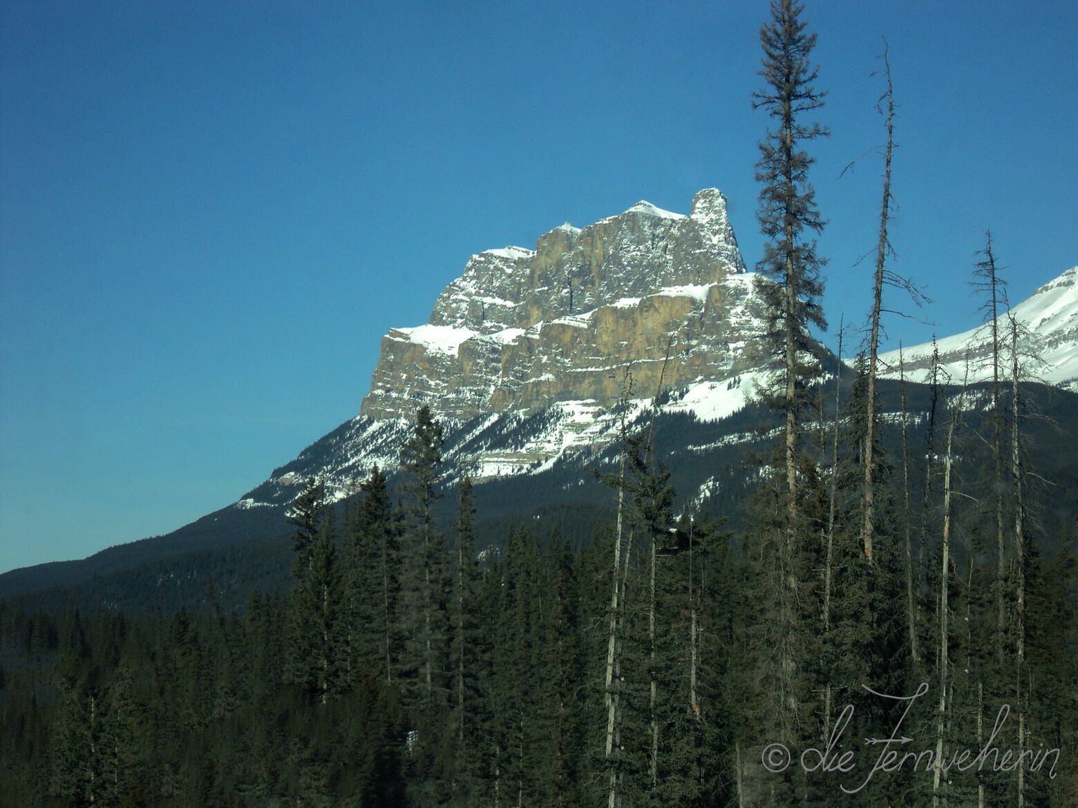 Castle Mountain in Banff National Park, as seen from the Bow Valley Parkway.