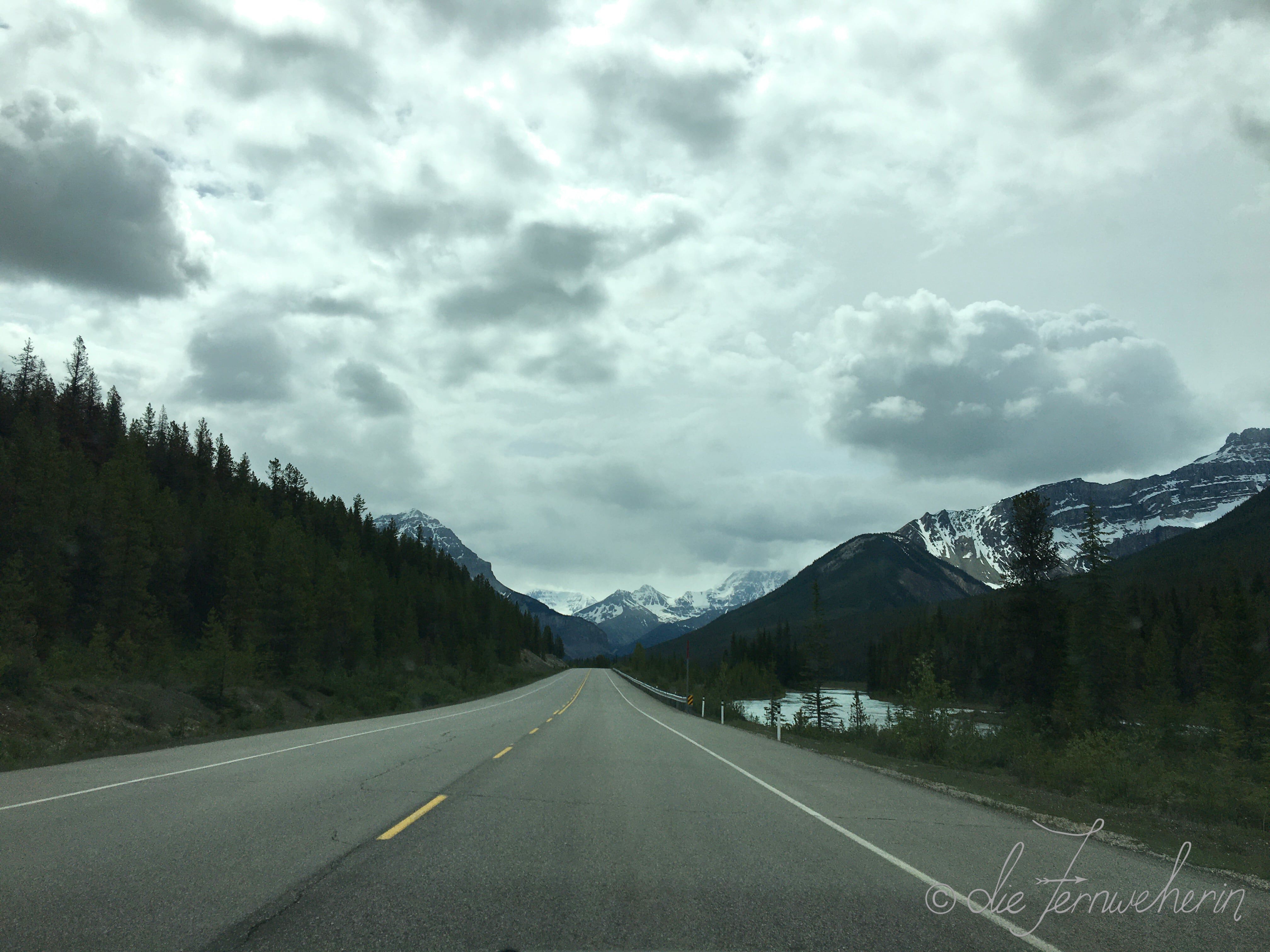 Driving the Icefields Parkway in Banff National Park on an overcast day.