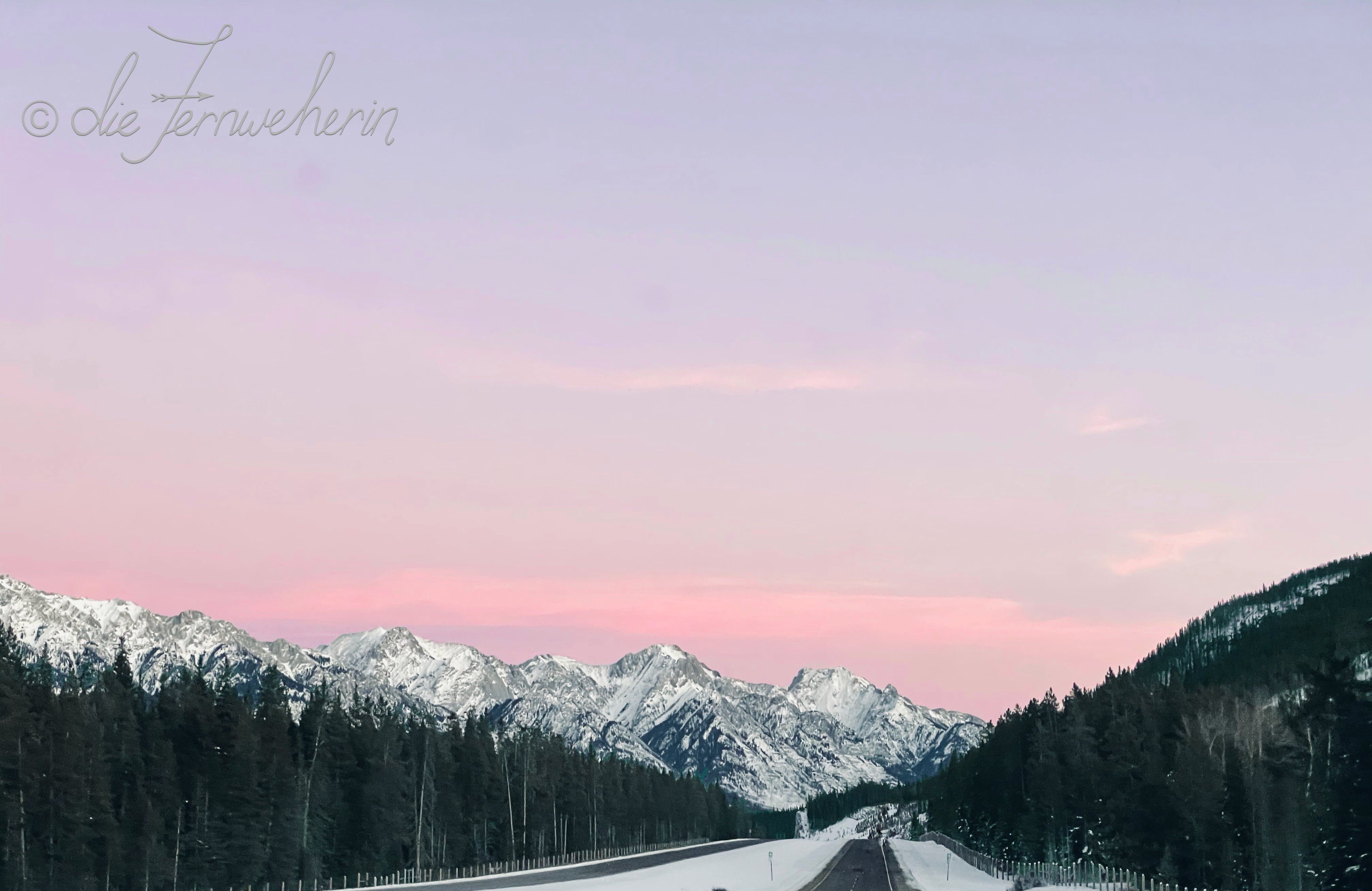 Sunset along Highway 1 in Banff National Park causes a pink "alpine glow" over the mountains.