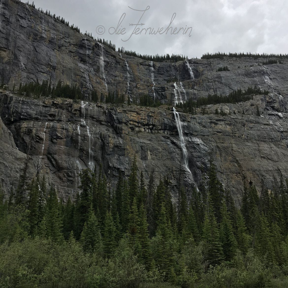 The Weeping Wall Viewpoint on the Icefields Parkway.