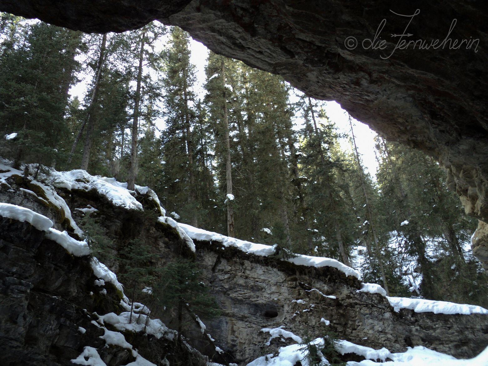 The view from the catwalk at the bottom of Johnston Canyon in Banff National Park, looking up at the canyon walls.