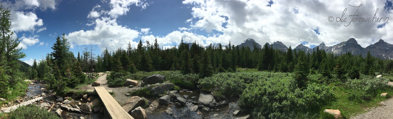 A small stream crosses the path of the Larch Valley Trail in Banff National Park.