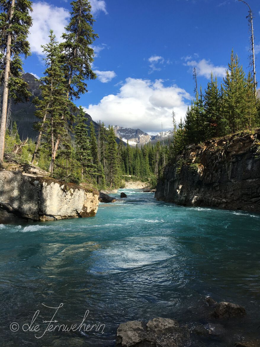 The blue-green waters and rugged walls of Marble Canyon in Kootenay National Park.