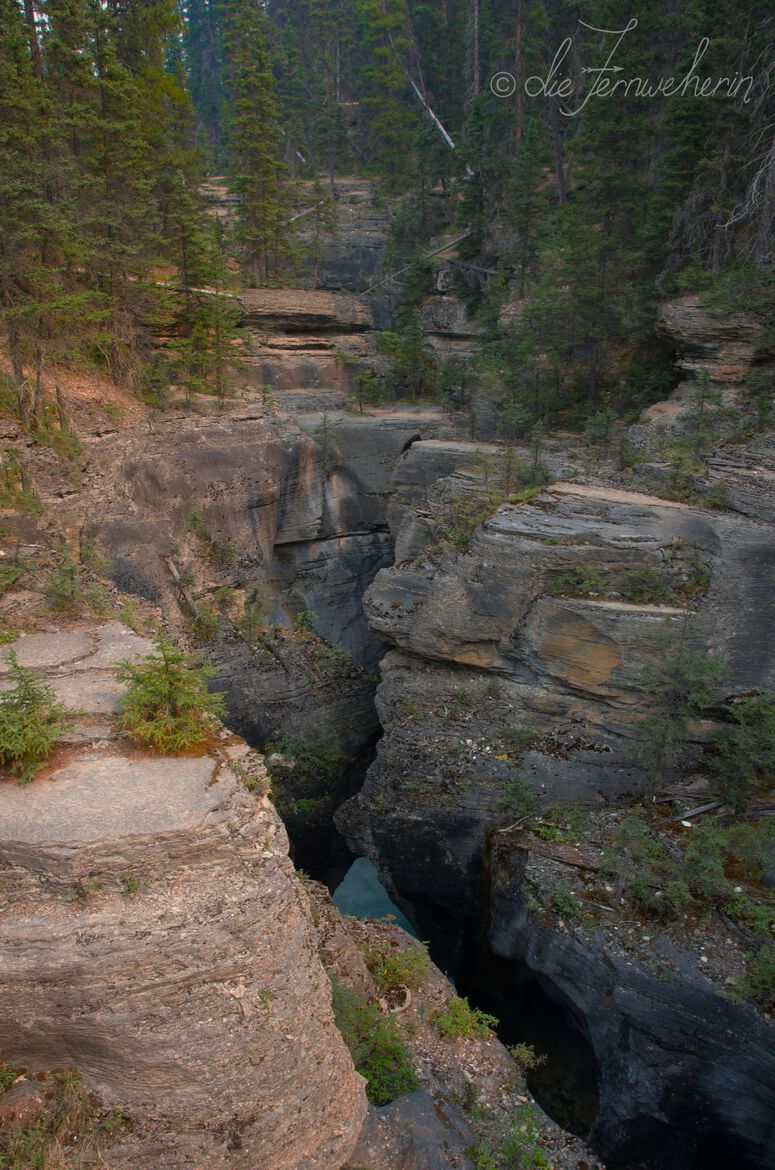 The rugged reddish rock walls of Mistaya Canyon in Banff National Park.