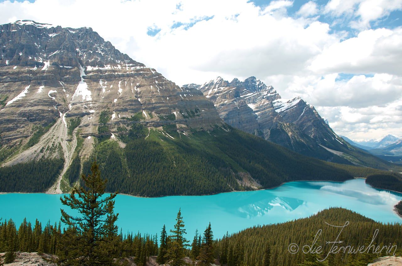 The iconic outline of turquoise blue Peyto Lake in Banff National Park, with clouds reflected on the surface.