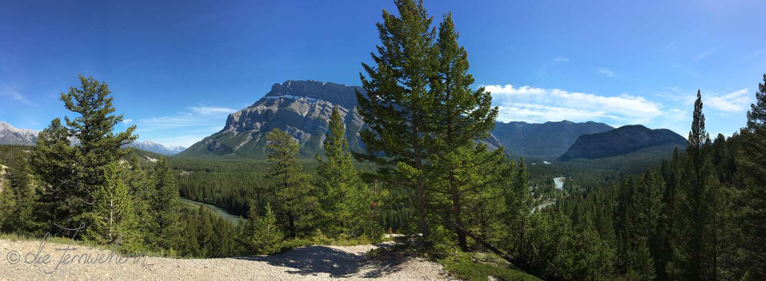 Tunnel Mountain, a vast forest, and the Bow River as seen from the Hoodoos Viewpoint in the town of Banff.