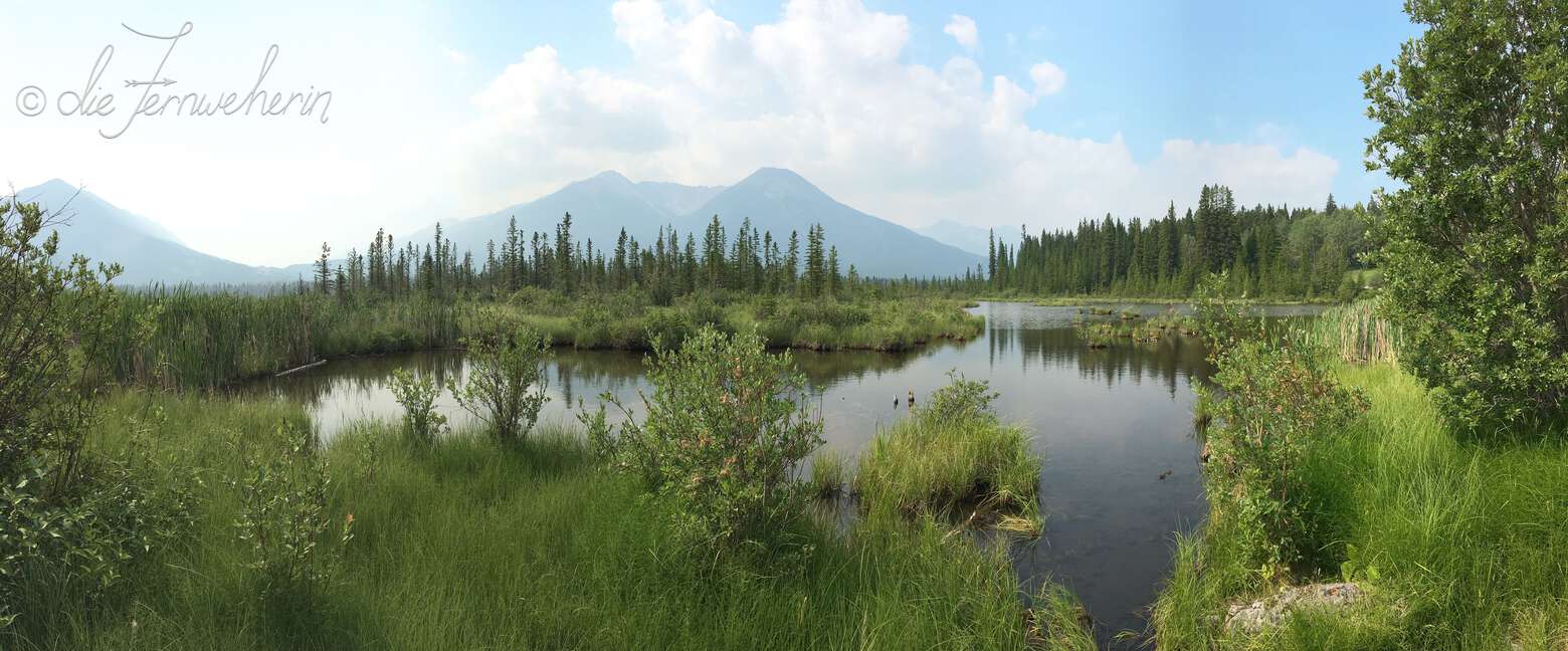 Distant mountains as seen from the Vermillion Lakes wetland in the town of Banff.