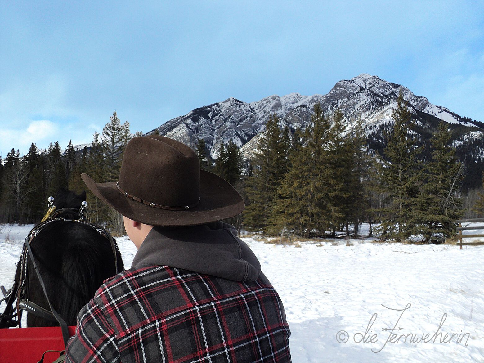 A romantic private sleigh ride during winter in the town of Banff.