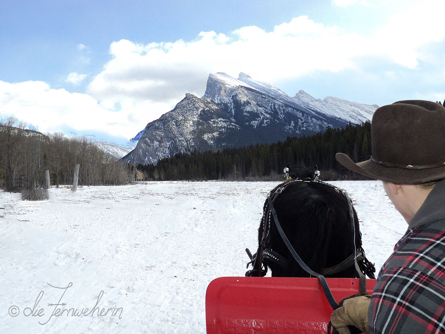 View of Rundle Mountain on a private horse-drawn sleigh ride in the town of Banff.