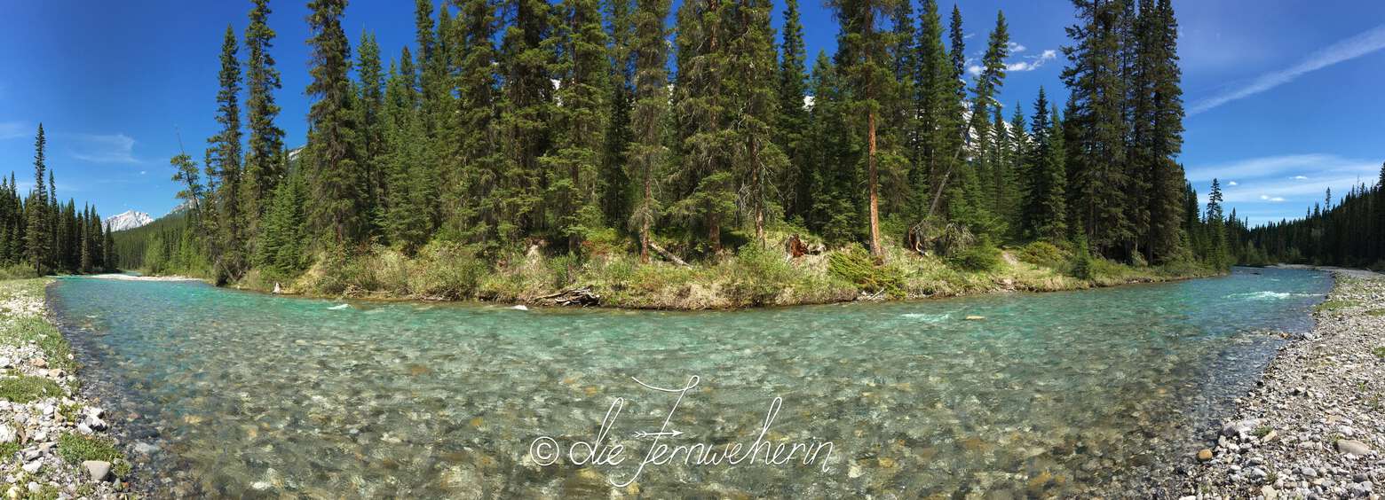 The crystal-clear (yet startlingly blue) waters of the Spray River on the outskirts of the town of Banff.