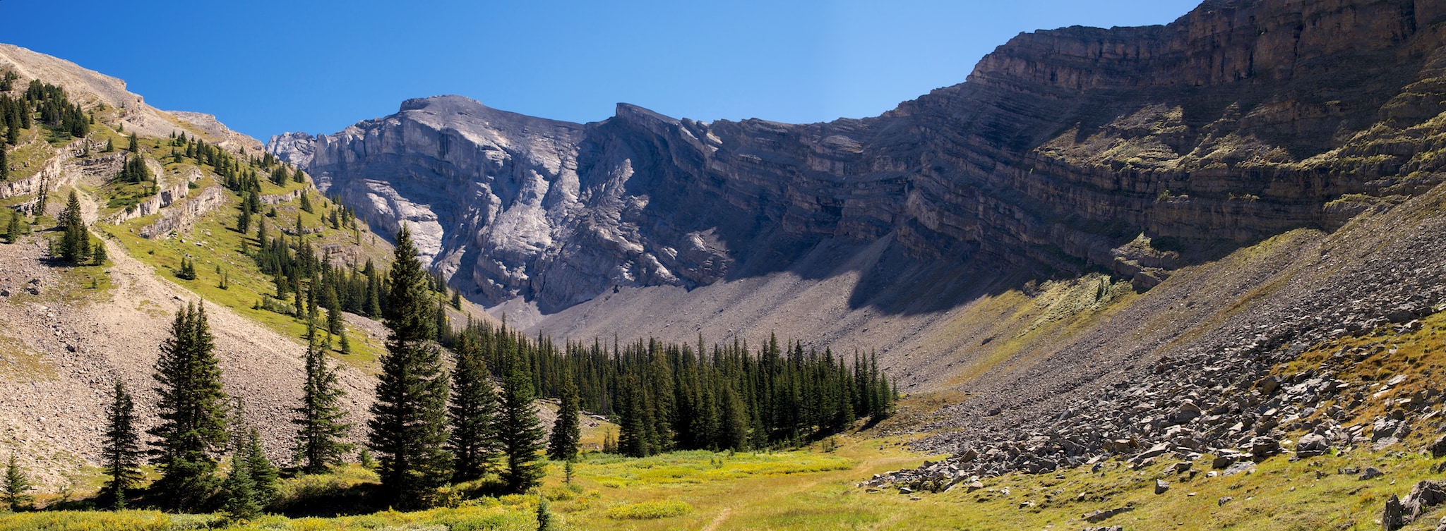 Looking across Cascade Amphitheater in Banff National Park on a sunny summer's day.