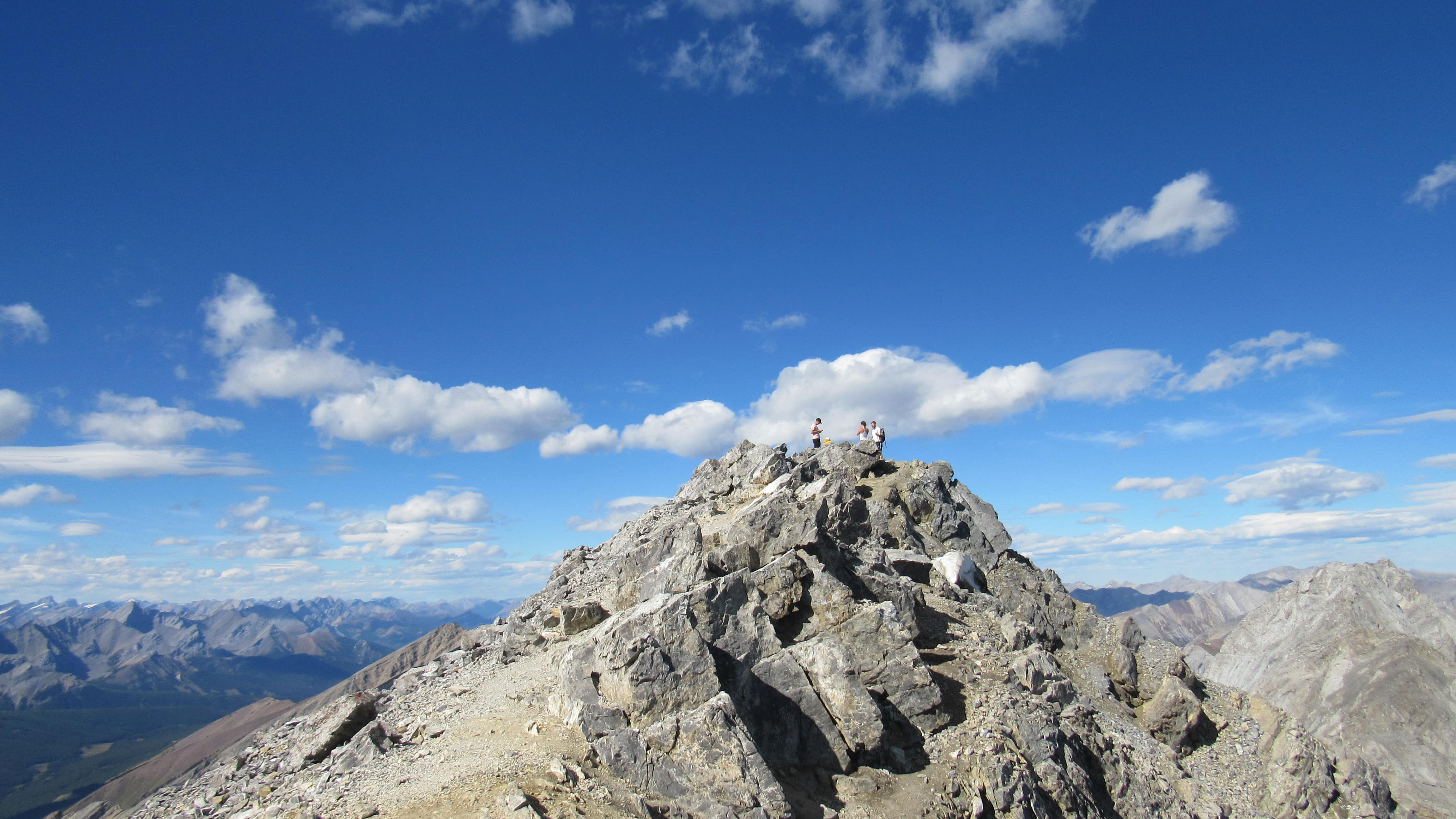 Hikers, surrounded by blue sky, celebrate reaching the summit of Cascade Mountain in Banff National Park.