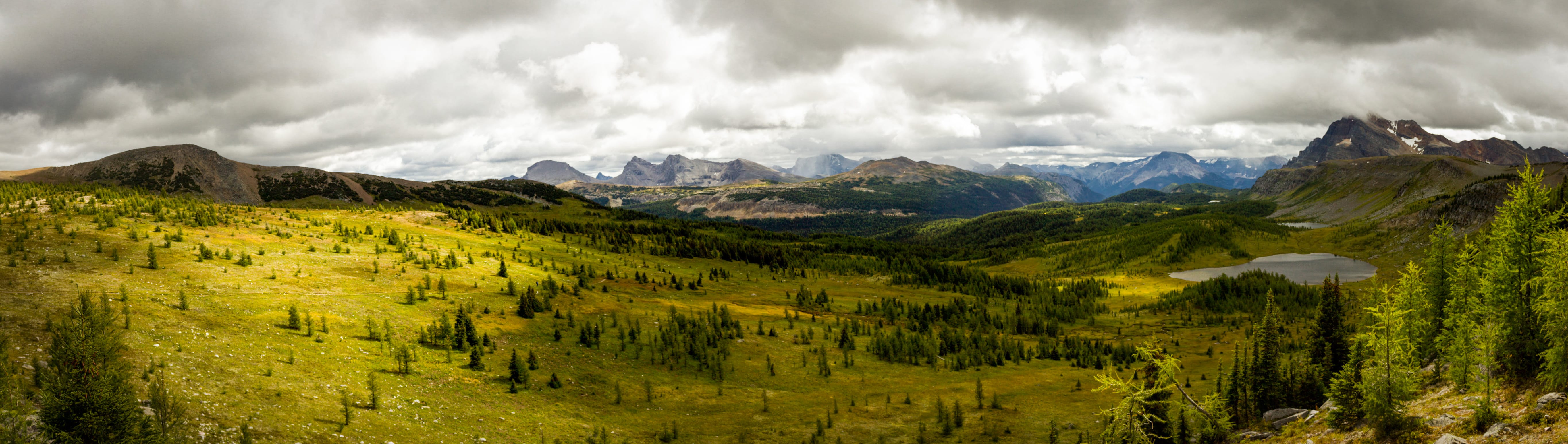 The view from Healy Pass in Banff National Park on a cloudy day during late summer, with the Pharaoh Peak mountains in the background.