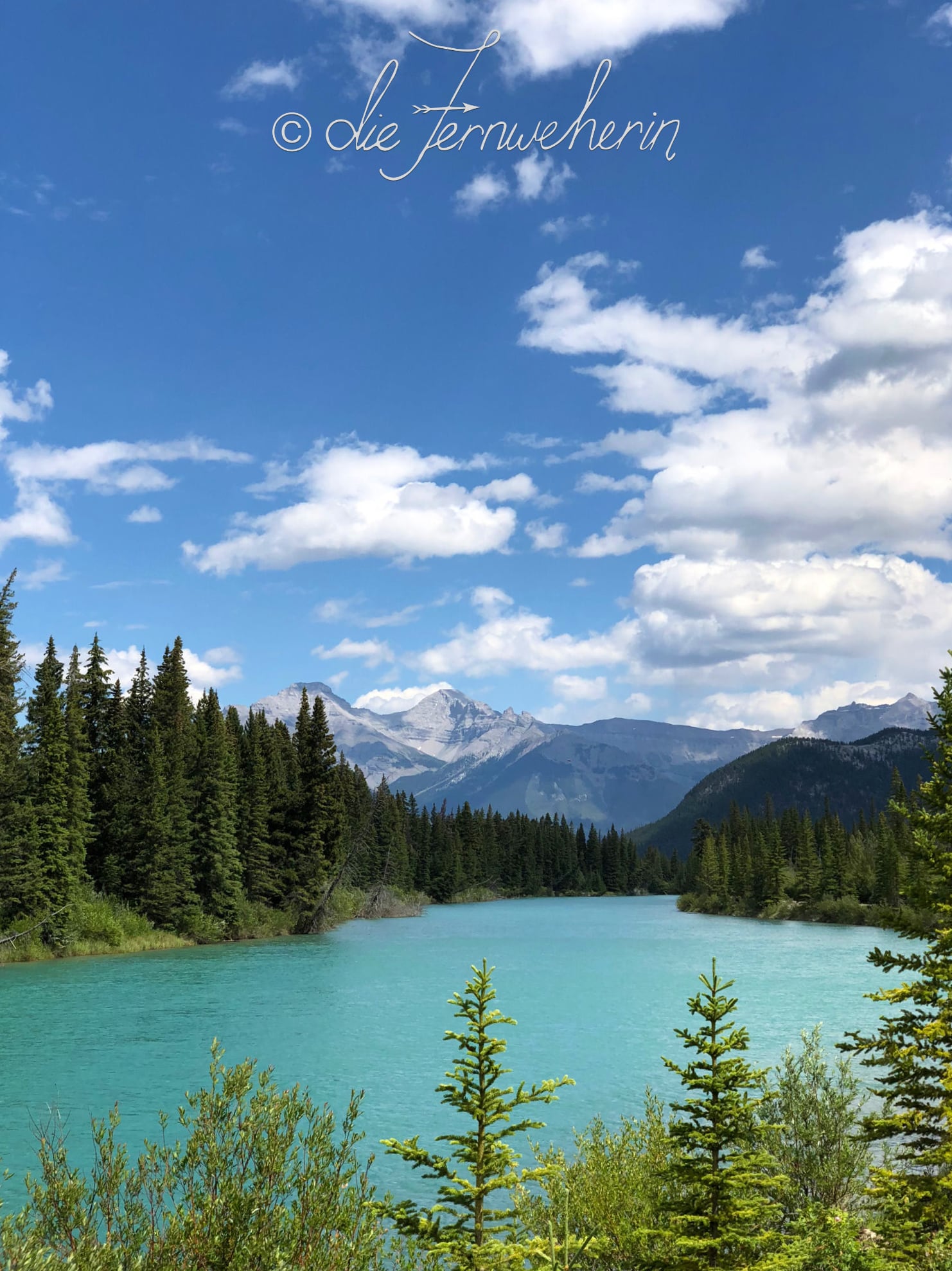 The Bow River on a sunny day, seen from the Sundance Trail on the outskirts of the town of Banff.